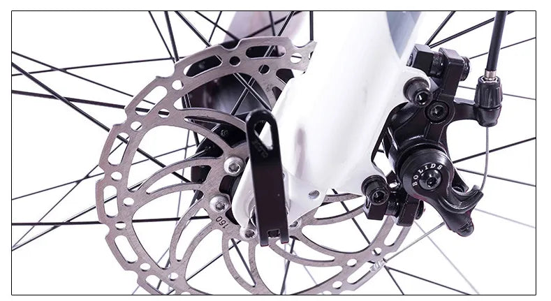 Lithium-Ion Tram Snow Electric Mountain Bike